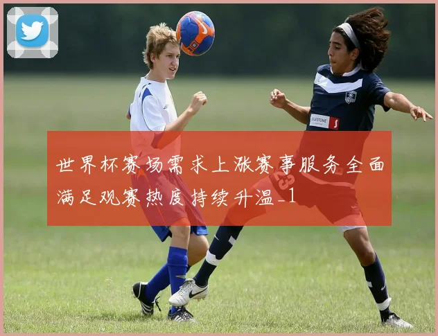世界杯赛场需求上涨赛事服务全面满足观赛热度持续升温_1