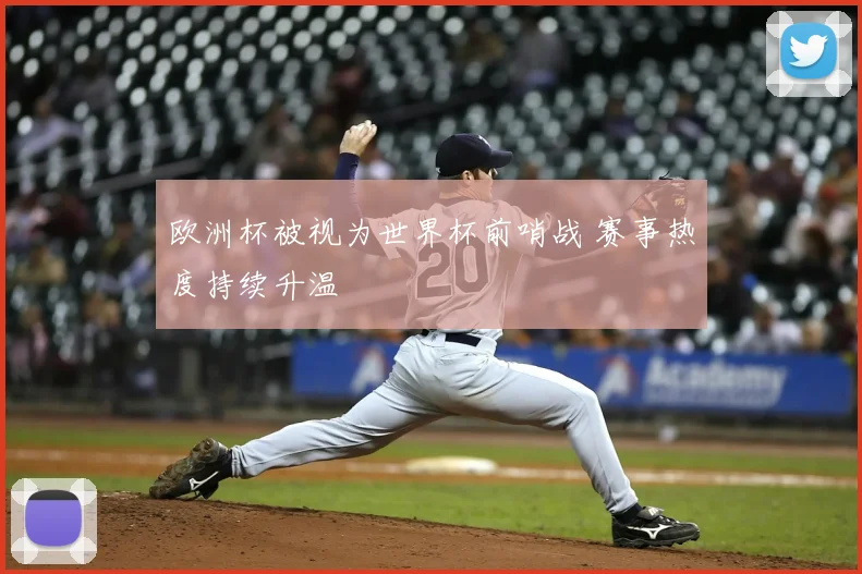 欧洲杯被视为世界杯前哨战 赛事热度持续升温