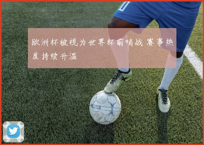 欧洲杯被视为世界杯前哨战 赛事热度持续升温