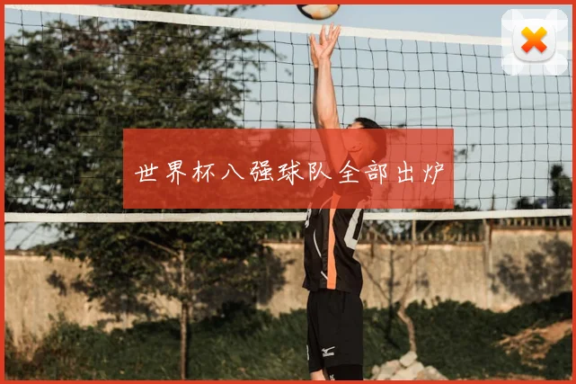世界杯八强球队全部出炉