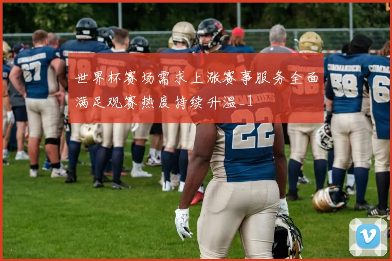 世界杯赛场需求上涨赛事服务全面满足观赛热度持续升温_1