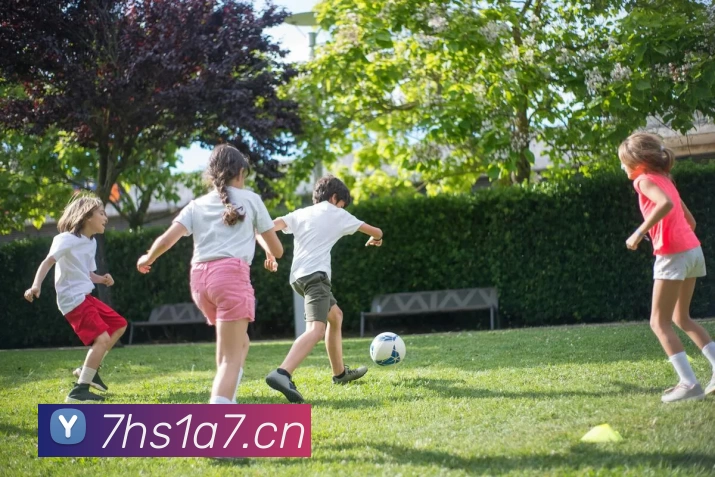 多媒体互动体验